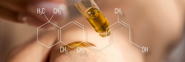 Unveil the Potential of Retinol for Your Skin