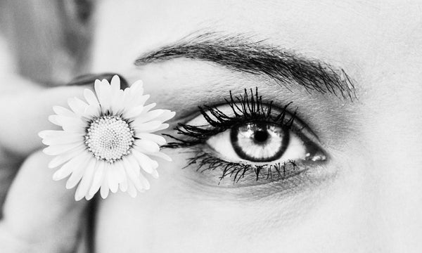 French Pharmacy’s Eyes Heroes To The Rescue